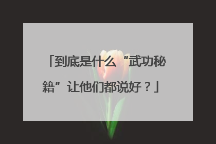 到底是什么“武功秘籍”让他们都说好？