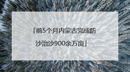 前5个月内蒙古完成防沙治沙900余万亩