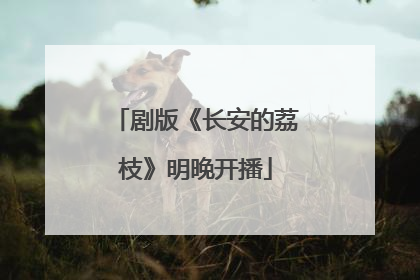 剧版《长安的荔枝》明晚开播