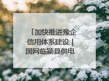 加快推进豫企信用体系建设｜国网临颍县供电公司开展电力行业信用企业现场咨询访谈工作