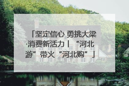 坚定信心 勇挑大梁·消费新活力丨“河北游”带火“河北购”