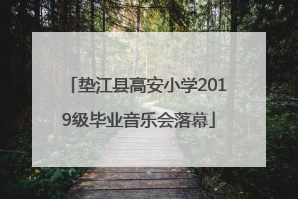 垫江县高安小学2019级毕业音乐会落幕