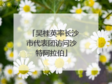 吴桂英率长沙市代表团访问沙特阿拉伯