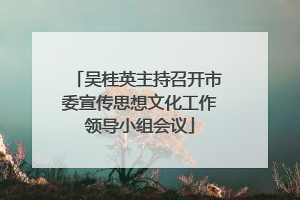 吴桂英主持召开市委宣传思想文化工作领导小组会议