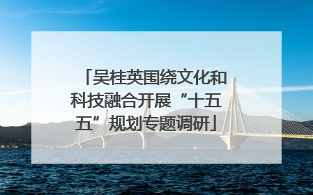 吴桂英围绕文化和科技融合开展“十五五”规划专题调研