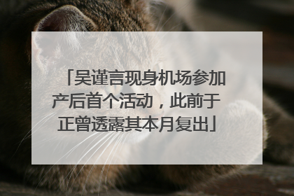 吴谨言现身机场参加产后首个活动，此前于正曾透露其本月复出