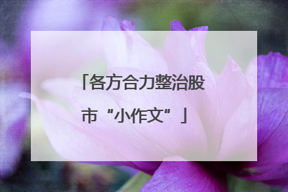 各方合力整治股市“小作文”