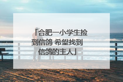 合肥一小学生捡到信鸽 希望找到信鸽的主人