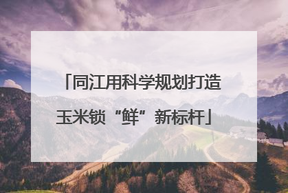 同江用科学规划打造玉米锁“鲜”新标杆