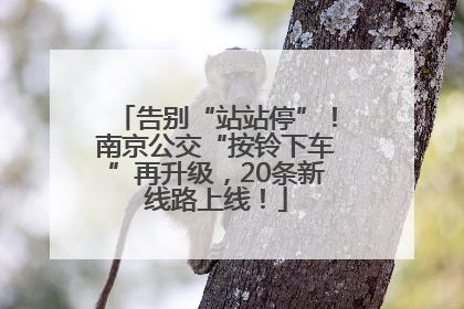 告别“站站停”！南京公交“按铃下车”再升级，20条新线路上线！