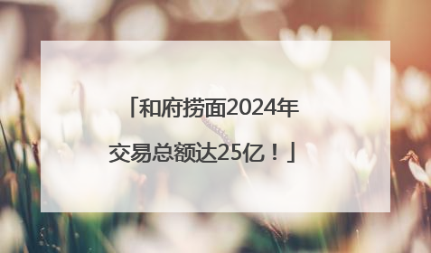 和府捞面2024年交易总额达25亿！
