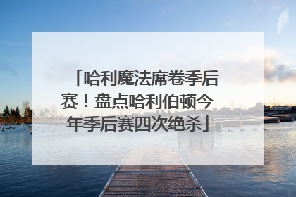 哈利魔法席卷季后赛！盘点哈利伯顿今年季后赛四次绝杀