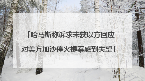 哈马斯称诉求未获以方回应 对美方加沙停火提案感到失望