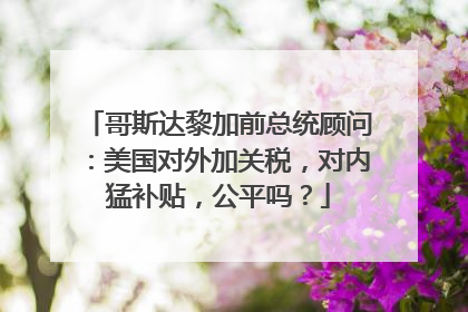 哥斯达黎加前总统顾问：美国对外加关税，对内猛补贴，公平吗？