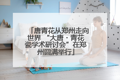 唐青花从郑州走向世界 “大唐・青花瓷学术研讨会”在郑州圆满举行