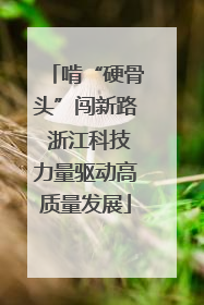啃“硬骨头”闯新路 浙江科技力量驱动高质量发展