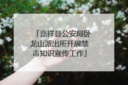 嘉祥县公安局卧龙山派出所开展禁毒知识宣传工作