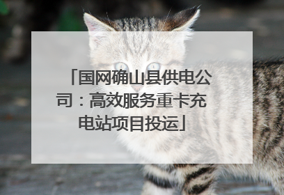 国网确山县供电公司：高效服务重卡充电站项目投运