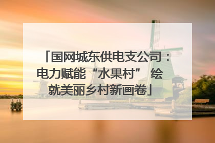 国网城东供电支公司：电力赋能“水果村” 绘就美丽乡村新画卷