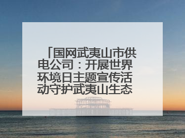 国网武夷山市供电公司：开展世界环境日主题宣传活动守护武夷山生态“高颜值”