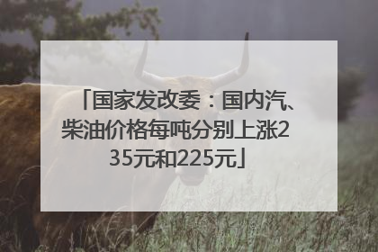 国家发改委：国内汽、柴油价格每吨分别上涨235元和225元