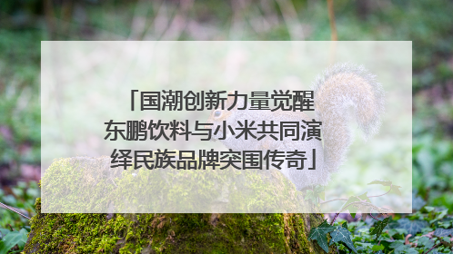 国潮创新力量觉醒 东鹏饮料与小米共同演绎民族品牌突围传奇
