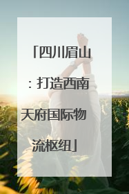 四川眉山：打造西南天府国际物流枢纽