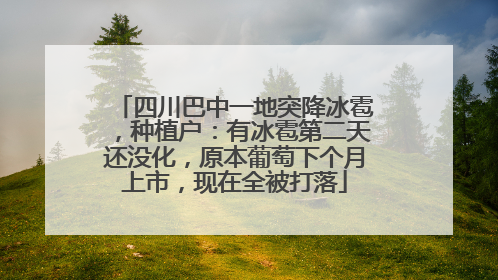 四川巴中一地突降冰雹，种植户：有冰雹第二天还没化，原本葡萄下个月上市，现在全被打落
