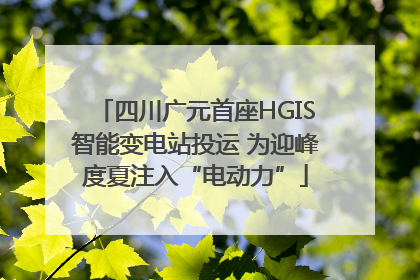 四川广元首座HGIS智能变电站投运 为迎峰度夏注入“电动力”