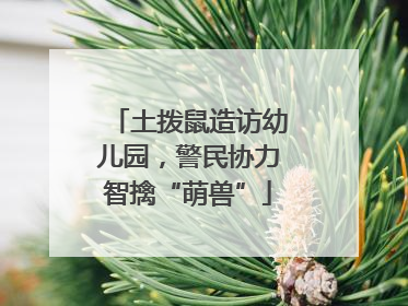 土拨鼠造访幼儿园，警民协力智擒“萌兽”