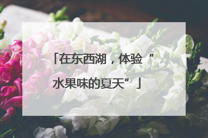 在东西湖，体验“水果味的夏天”