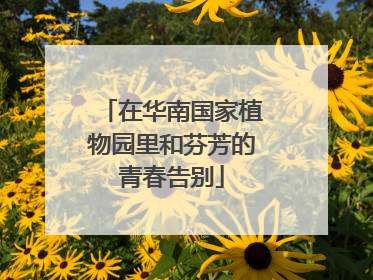 在华南国家植物园里和芬芳的青春告别