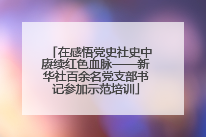 在感悟党史社史中赓续红色血脉——新华社百余名党支部书记参加示范培训
