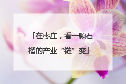 在枣庄，看一颗石榴的产业“链”变