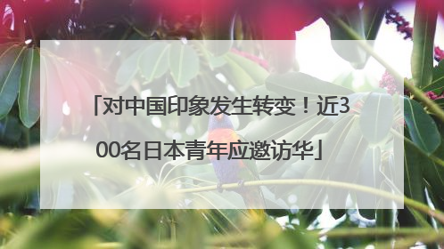 对中国印象发生转变！近300名日本青年应邀访华