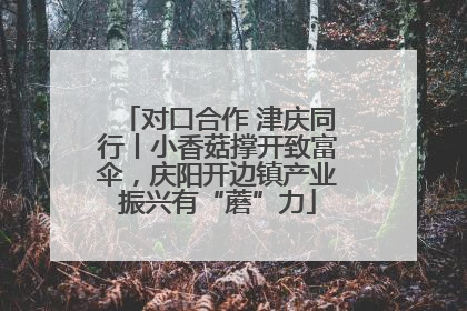 对口合作 津庆同行丨小香菇撑开致富伞，庆阳开边镇产业振兴有“蘑”力