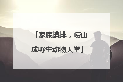 家底摸排，崂山成野生动物天堂