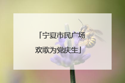 宁夏市民广场欢歌为党庆生