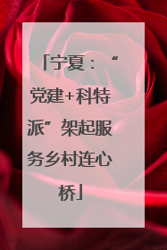 宁夏：“党建+科特派”架起服务乡村连心桥