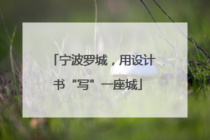 宁波罗城，用设计书“写”一座城