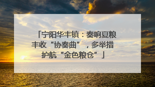 宁阳华丰镇：奏响夏粮丰收“协奏曲”，多举措护航“金色粮仓”
