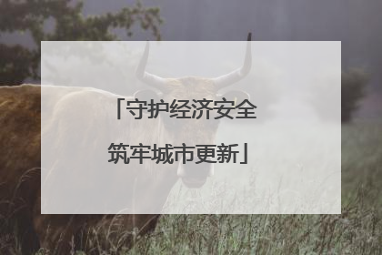 守护经济安全 筑牢城市更新