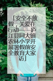 安全不放假，关爱在行动——庐江县同大镇农林小学开展暑假前安全教育大家访
