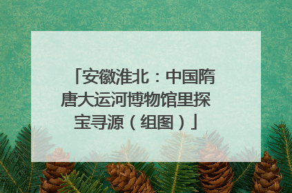 安徽淮北：中国隋唐大运河博物馆里探宝寻源（组图）