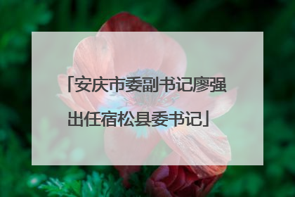 安庆市委副书记廖强出任宿松县委书记
