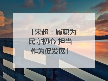 宋超：履职为民守初心 担当作为促发展