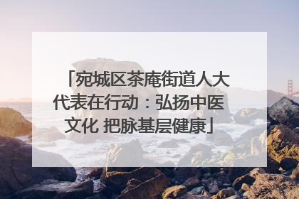 宛城区茶庵街道人大代表在行动：弘扬中医文化 把脉基层健康