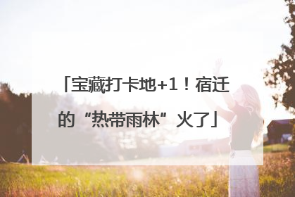 宝藏打卡地+1！宿迁的“热带雨林”火了