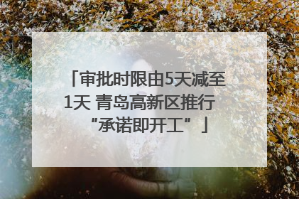 审批时限由5天减至1天 青岛高新区推行“承诺即开工”
