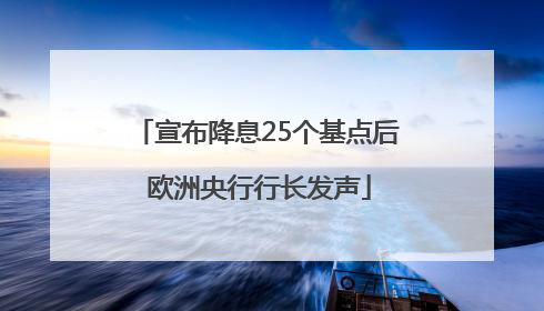 宣布降息25个基点后 欧洲央行行长发声